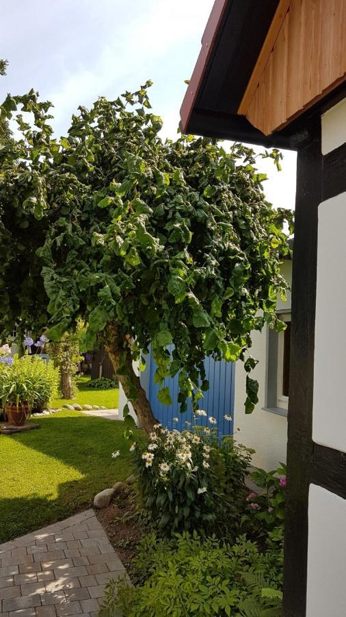 Das Fachwerkhaeuschen Bad Pyrmont Εξωτερικό φωτογραφία